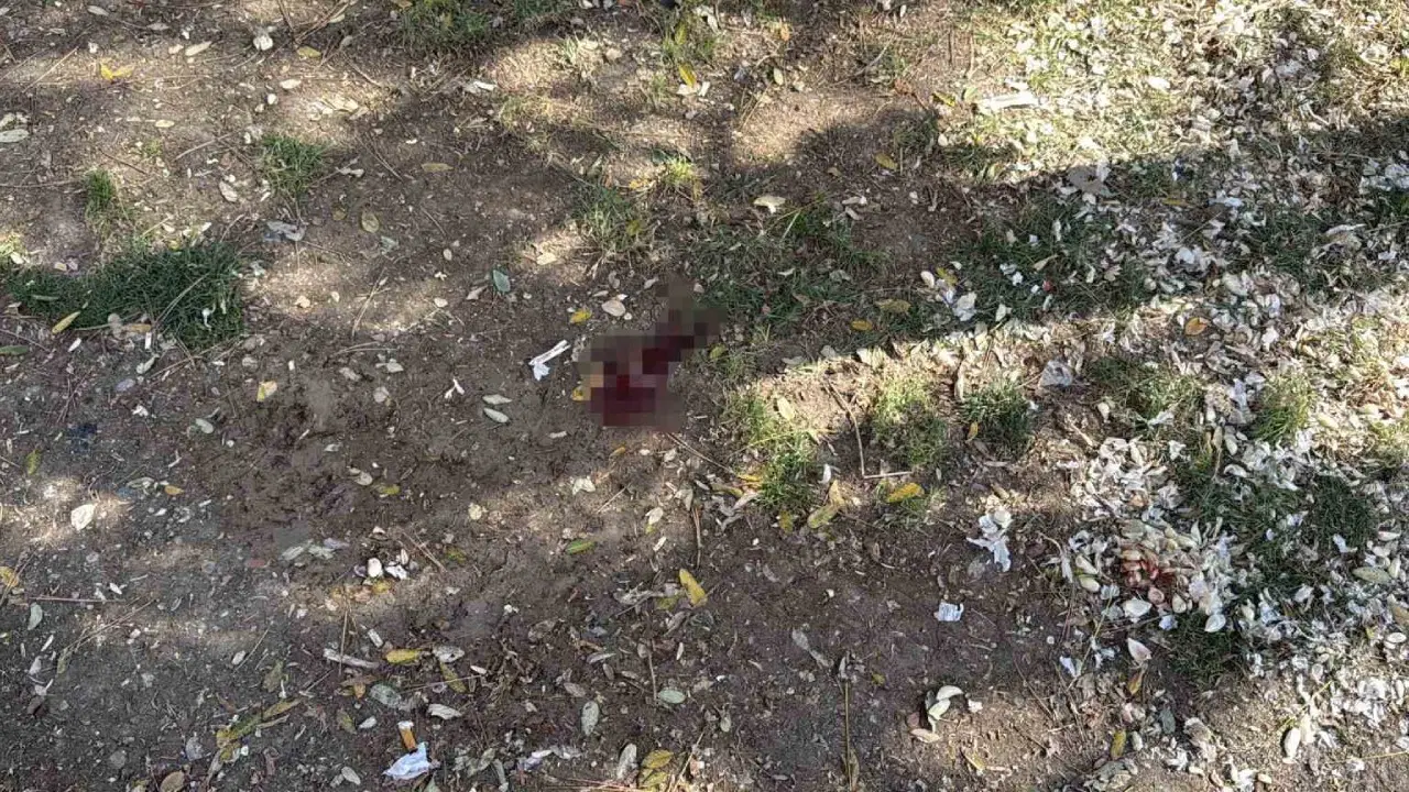 Parkta Döner Bıçağıyla Saldırı: Bir Kişi Ağır Yaralandı