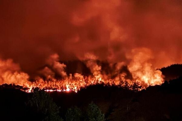 Bilecik sınırlarına ulaşan Sakarya’daki yangın yerleşim bölgesini tehdit ediyor! Çok sayıda kişi tahliye edildi