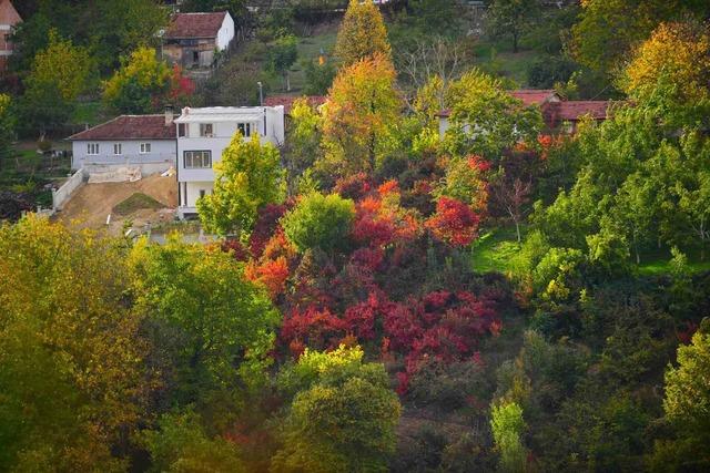 Uludağ yamaçlarında sonbahar renklerinin isyanı 2