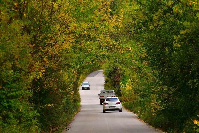 Uludağ yamaçlarında sonbahar renklerinin cümbüşü