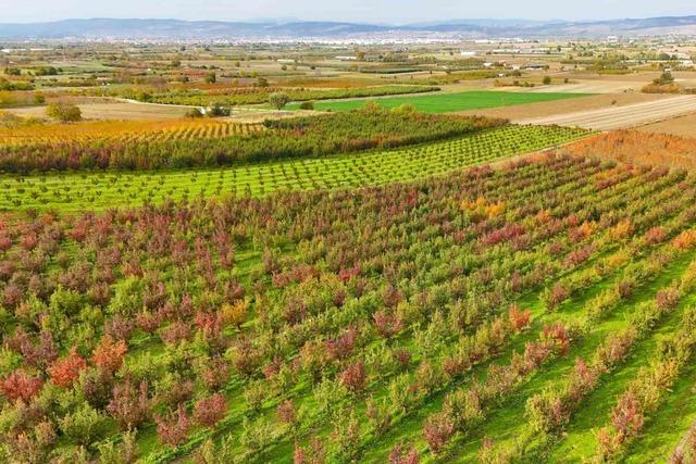 Uludağ yamaçlarında sonbahar renklerinin cümbüşü