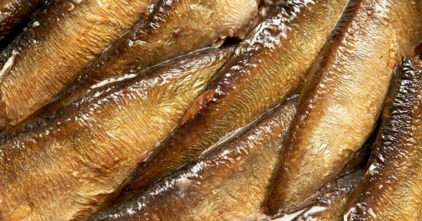 Hafızayı Canlandıran 8 Vitamin: Beyin Yaşlanmasını Engelliyor!